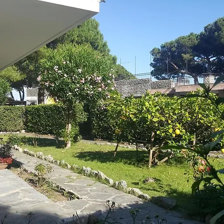 Elena Villa